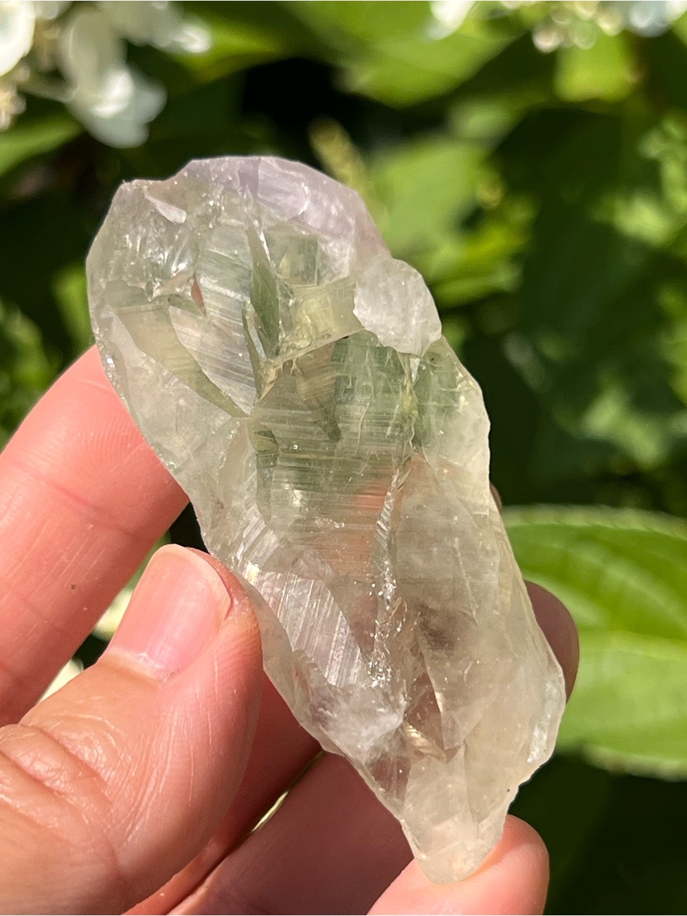 Green (3) quartz point | crystal